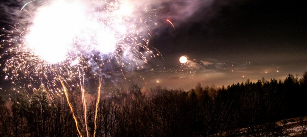 Privates Feuerwerk verbieten, fordert Tierschutz Austria von Regierung