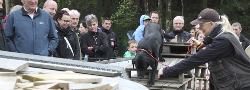 Rettungshund Österreich