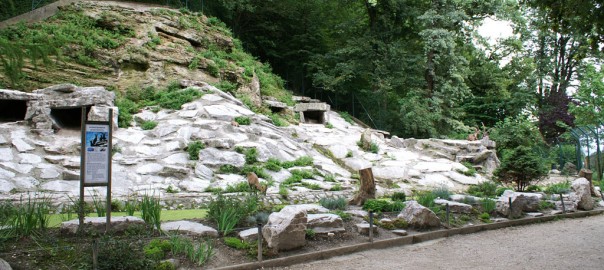 Tierschutzverein gegen Zoolauf