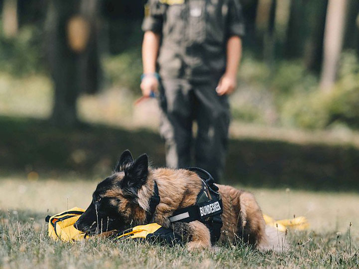 Corona Spürhund Bundesheer Österreich